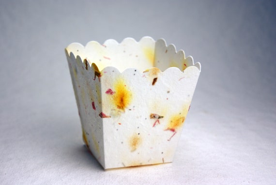 Petal Paper Favor Box made from Seed Paper 3 x 2.5" Popcorn Tub - Pick your Paper