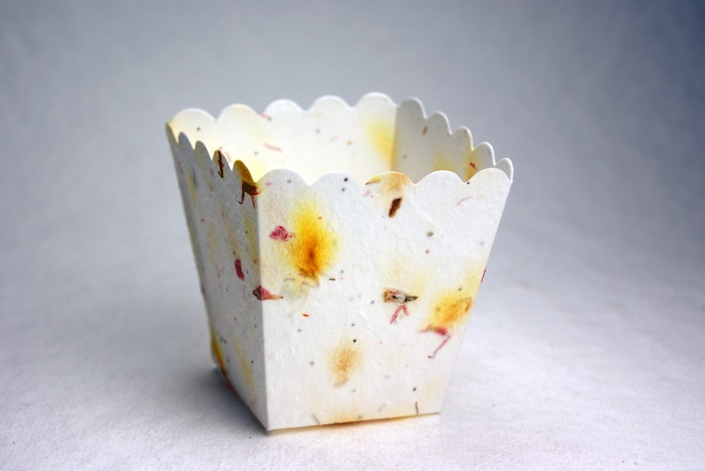 May include: A white paper container with a scalloped edge. The container is made of recycled paper and has a speckled pattern with small pieces of dried flowers.