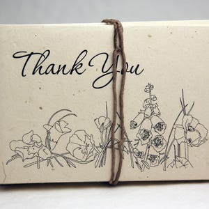 Seed Paper Thank You Cards Blank Inside Recycled Lotka Paper Cut Edge Set of 15