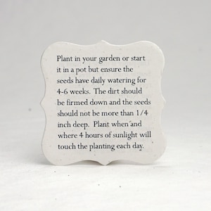 May include: White card with black text providing instructions on how to plant seeds. The text reads: "Plant in your garden or start it in a pot but ensure the seeds have daily watering for 4-6 weeks. The dirt should be firmed down and the seeds should not be more than 1/4 inch deep. Plant when and where 4 hours of sunlight will touch the planting each day."