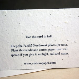 Winthrop Seed Paper Wildflower Print Recycled Cotton Blank Notecard Set Northwest Photography ...