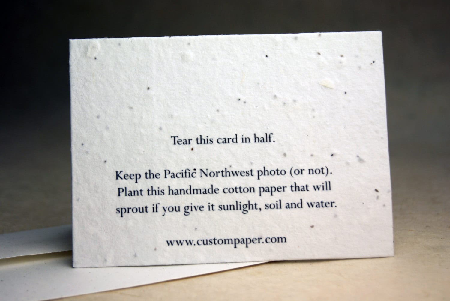Seed Paper Birds Print Recycled Cotton Blank Notecard Set - Etsy