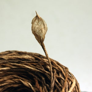 Earth Friendly Paper Twine from Handmade, Hand Dyed Paper - 8 yard lengths of narrow vegetable dyed Eco-Twist Hemlock