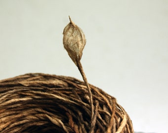 Earth Friendly Paper Twine from Handmade, Hand Dyed Paper - 8 yard lengths of narrow vegetable dyed Eco-Twist Hemlock