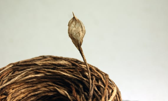 Earth Friendly Paper Twine from Handmade, Hand Dyed Paper - 8 yard lengths of narrow vegetable dyed Eco-Twist Hemlock