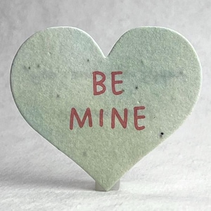 Large Seed Paper Heart Valentines - Conversation Hearts with Assorted Messages - Mixed Set - Wildflower Seeds - 2.85" x 2.5" - Set of 18