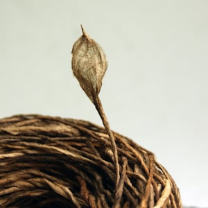 May include: A close-up of a brown twine ball with a dried, light brown leaf sticking out of the top.