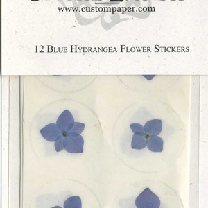 Bright Blue Hydrangea 1.5&quot; Real Pressed Flower Decorating Stickers - pack of 12 - Not Dyed
