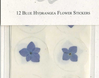 Bright Blue Hydrangea 1.5" Real Pressed Flower Decorating Stickers - pack of 12 - Not Dyed