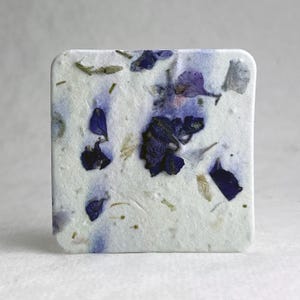 Seed Paper Rounded Squares - 2.5" | Wildflower Seed Handmade Paper | Set of 12 or 100| Choose Your Paper