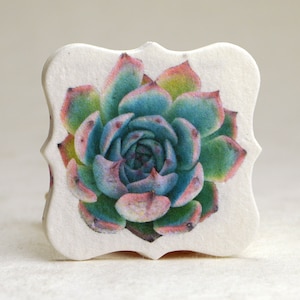 Succulent Watercolor Art | Wildflower Seed Paper Tags | 1.75" x 1.75" | Planting Directions on Reverse | Set of 20 or 100