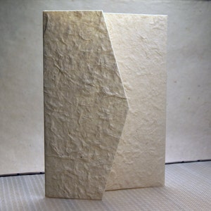 May include: A white envelope with a textured surface. The envelope is folded in half and has a flap on the top.