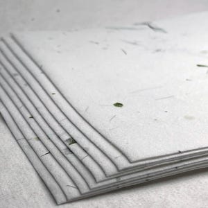 Green Tree Fern and Chard 36s Seed Paper Heavy weight (80lb.) 8.5" x 11" handmade card stock cotton fiber