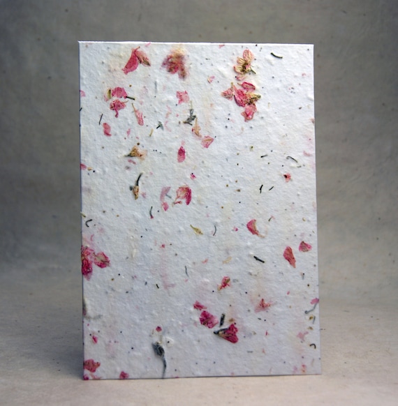 Handmade Seed Paper With Pink Petals and Wild Flower Seeds - Etsy