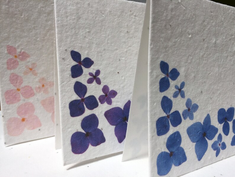 Mixed Hydrangea Seed Paper Print Recycled Cotton Blank Notecard Set ...