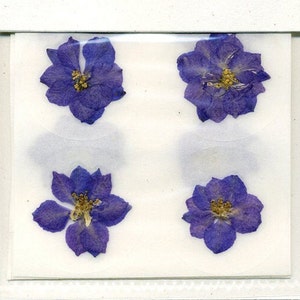 Purple Petal 1.5" Real Pressed Flower Decorating Stickers - pack of 12 - Not Dyed