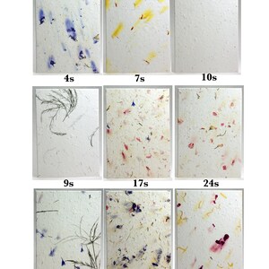 May include: Nine samples of handmade paper with different amounts of dried flowers and grasses embedded in the paper. The samples are labeled with the amount of time the paper was pressed for, ranging from 4 seconds to 61 seconds.