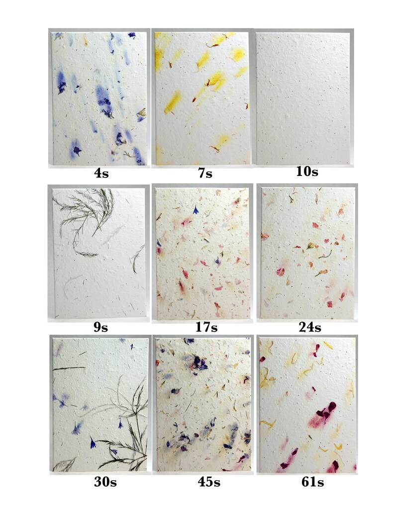 May include: Nine samples of handmade paper with different amounts of dried flowers and grasses embedded in the paper. The samples are labeled with the amount of time the paper was pressed for, ranging from 4 seconds to 61 seconds.