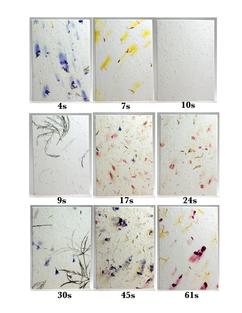 May include: Nine samples of handmade paper with different amounts of dried flowers and grasses embedded in the paper. The samples are labeled with the amount of time the paper was pressed for, ranging from 4 seconds to 61 seconds.