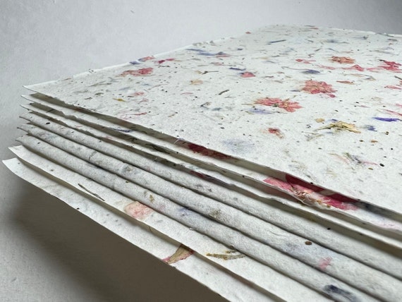 Pink Petal 17s Seed Paper Heavy weight (80lb.) 8.5" x 11" handmade card stock recycled cotton fiber