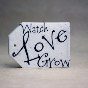 Watch Love Grow Gift/Favor Tags 2.5" wide by 3.375" tall Wildflower Seed handmade paper for Weddings, events or gifts set of 8
