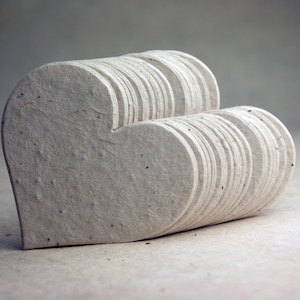 Large Seed Paper Hearts 2.85"w x 2.5"h Wildflower Natural Lotka Recycled Fibers 60s set of 24