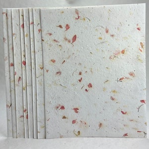 Pink Petal 24s Seed Paper Heavy weight (80lb.) 8.5" x 11" handmade card stock cotton fiber