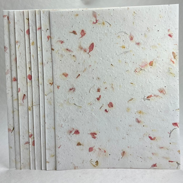 Pink Petal 24s Seed Paper Heavy weight (80lb.) 8.5" x 11" handmade card stock cotton fiber