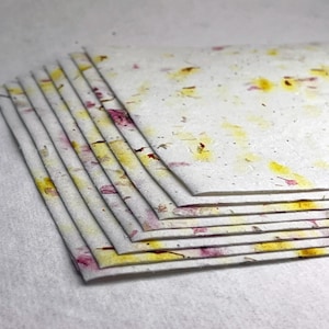 Pink and Yellow Petal 37s Seed Paper Heavy weight (80lb.) 8.5" x 11" handmade card stock cotton fiber
