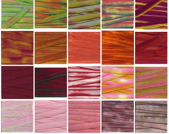 Hand Dyed Silk Ribbon 87 Master Color Earth Silk sample set and Earth Silk Blends combined