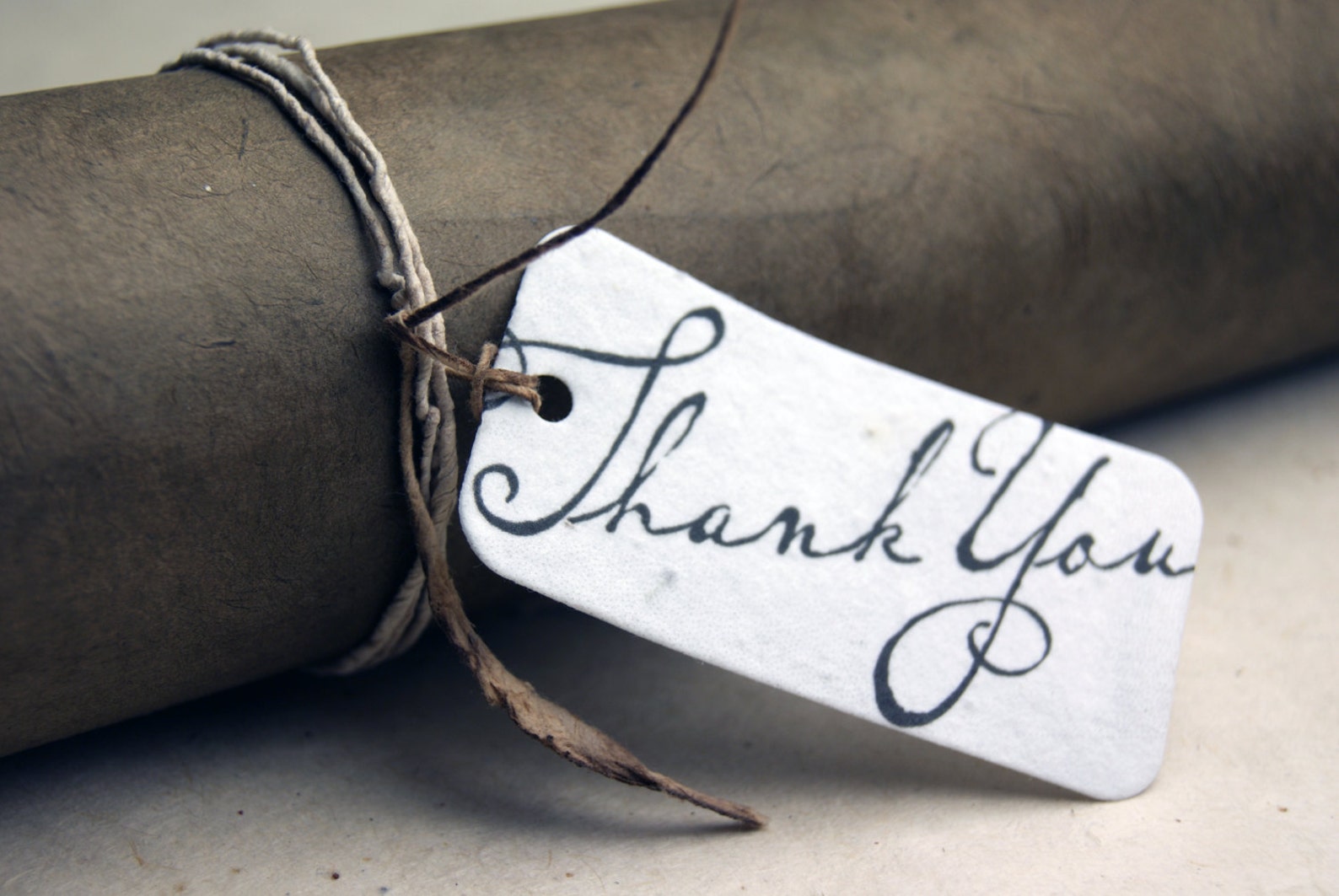 Thank You Gift Tag Set of 10 Seed Paper Hangtags 3 Long - Etsy