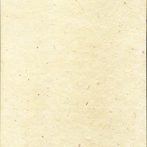 Extra Heavy weight Card Stock Seed Paper (80lb.) 8.5" x 11" pack of 4 handmade paper sheets