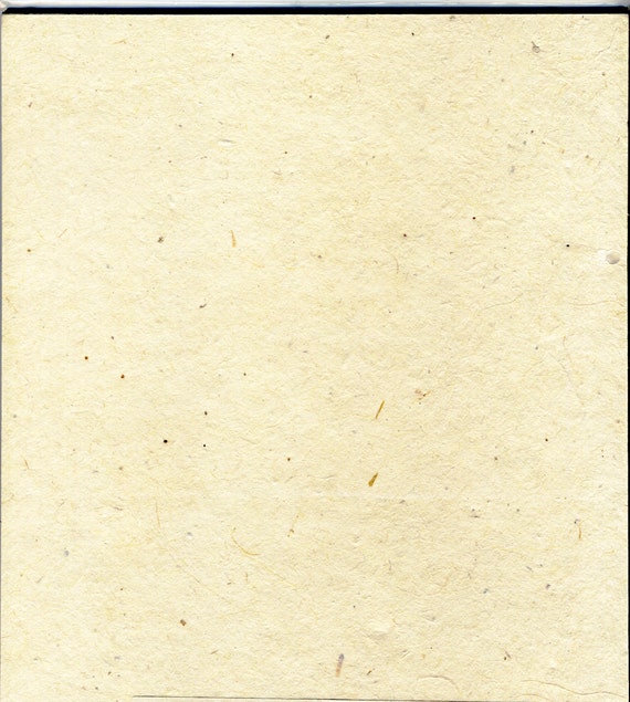 Extra Heavy weight Card Stock Seed Paper (80lb.) 8.5" x 11" pack of 4 handmade paper sheets