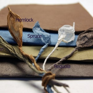 May include: A stack of five different colored paper sheets, each labeled with a type of tree: Hemlock, Spruce, Aspen, Sequoia. The paper is handmade and has a natural, textured look.