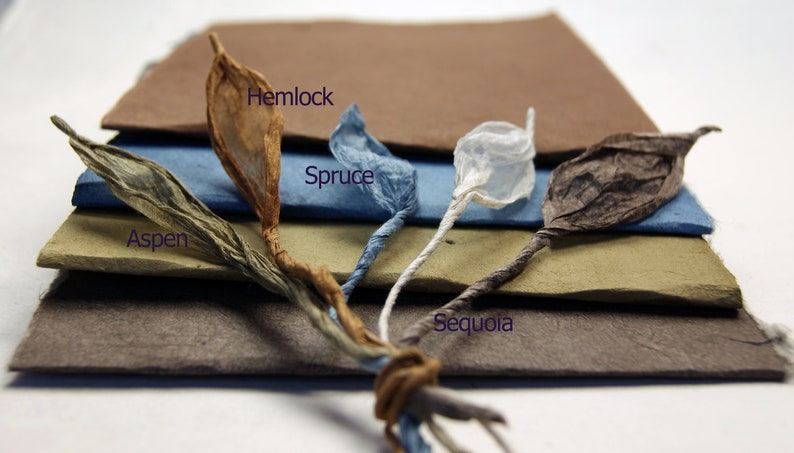 May include: A stack of five different colored paper sheets, each labeled with a type of tree: Hemlock, Spruce, Aspen, Sequoia. The paper is handmade and has a natural, textured look.