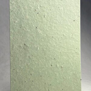 Pale Green Recycled 62s Seed Paper Heavy weight (80lb.) 8.5" x 11" handmade card stock lotka fiber