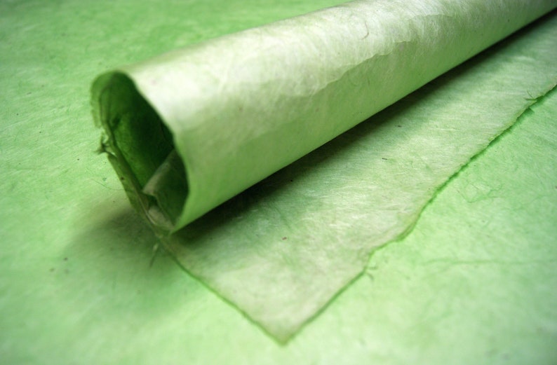 Seattle Greens set of three handmade Wrapping Paper gift wrap Grass/Sage/Cactus Lotka fiber image 6