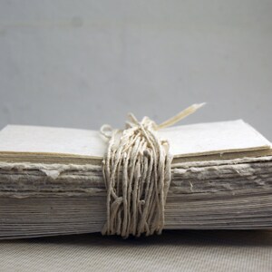 Handmade Seed Paper Invitation Kit 4.5x6 Torn Edge Natural Seeded DIY Wedding Invitation Kit set of 25 image 2