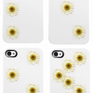 Mini Daisy Pressed Flowers pack of 25 1/2 7/8 inch diameter yellow center white petal great for iPhone art image 2