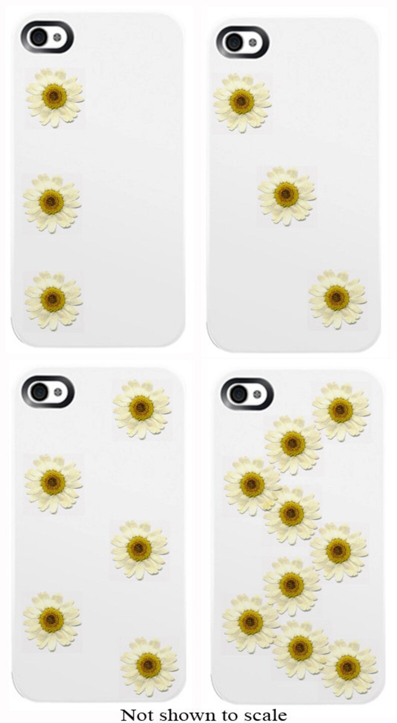 Mini Daisy Pressed Flowers pack of 25 1/2 7/8 inch diameter yellow center white petal great for iPhone art image 2