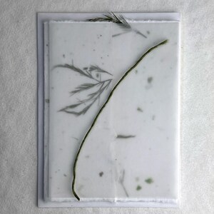 DIY Invitation Kit - Cotton Fiber Earth Friendly Petal embedded Handmade Seed Paper set of 25 6" x 9" Folding 36s Fern/Chard