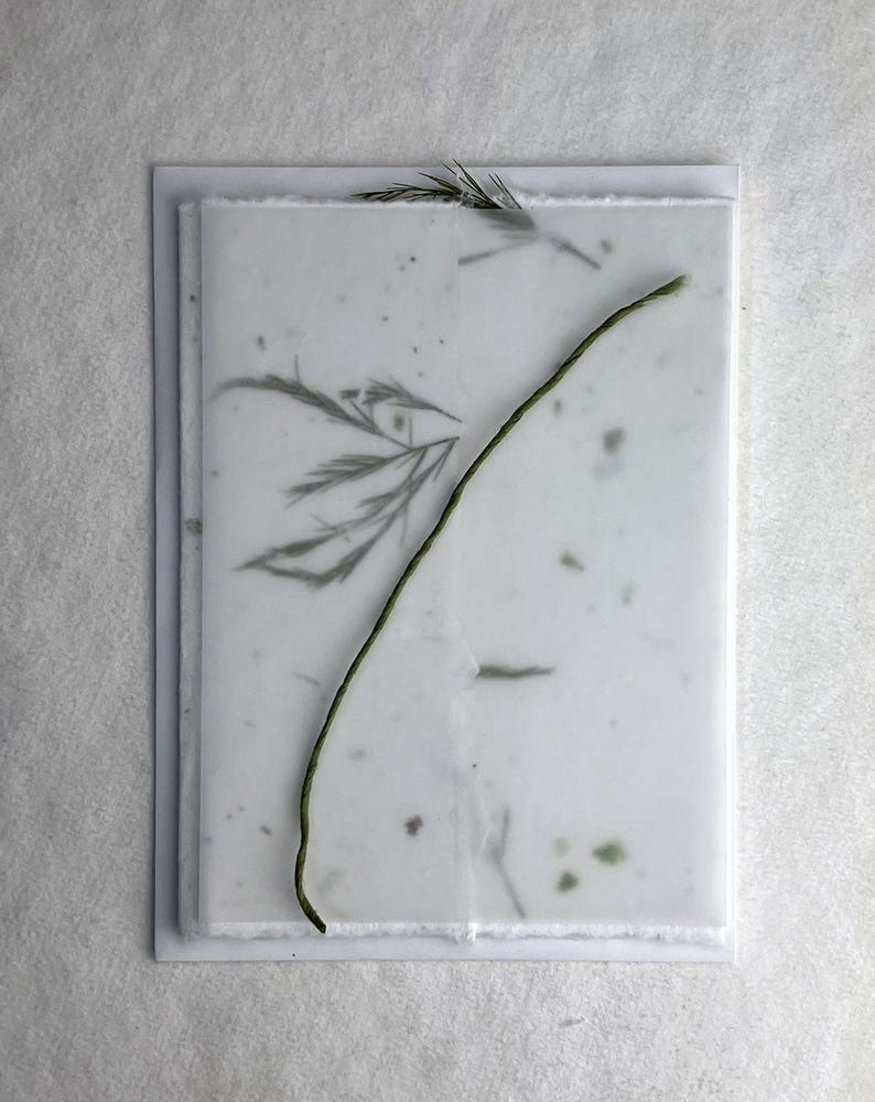 DIY Invitation Kit - Cotton Fiber Earth Friendly Petal embedded Handmade Seed Paper set of 25 6" x 9" Folding 36s Fern/Chard