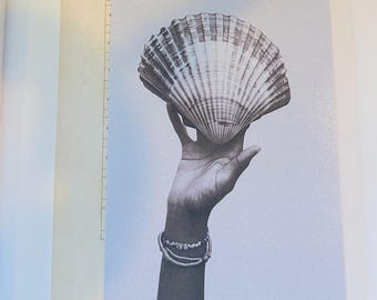 Coastal Kindle Insert | Surf, Seashells, Beach Photography for Paperwhite (Set of 6)
