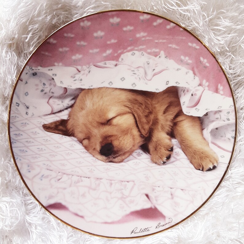 Puppy Collector Plate 'Do Not Disturb' Limited image 0