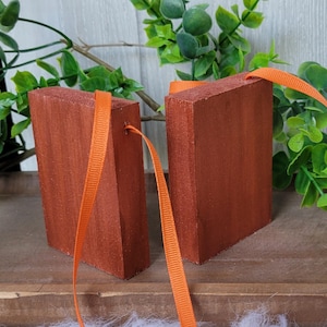 May include: Two rectangular wooden blocks with a reddish-brown stain, each with a bright orange ribbon attached. The blocks are displayed on a wooden surface with green foliage in the background. The blocks are likely decorative items.