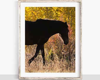 Horse Wall Art, Autumn Horse Silhouette Print