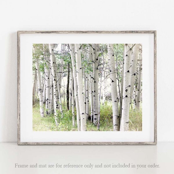 Aspen Photography, Aspen Trees Photo, White Birch Wall Art, Aspen Tree Art, Farmhouse Wall Decor, Aspen Canvas Art