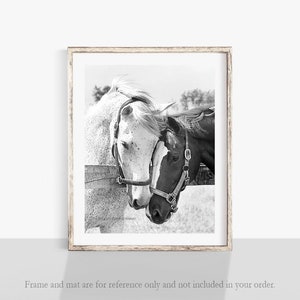 Black and White Horse Photograph, Horse Photography, Horse Print, Farmhouse Wall Decor, Horse Photo