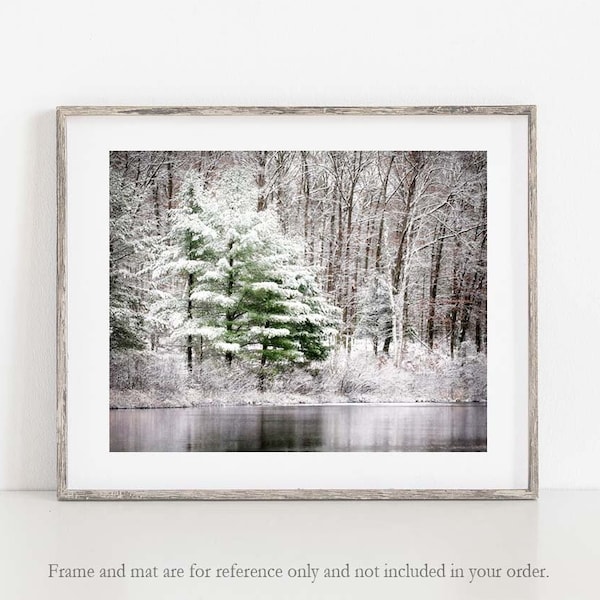 Winter Photography, Winter Landscape Print, Winter Print, Woodland Photo, Winter Photo, Fine Art Photography, Winter Nature Photo
