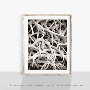 Antler Photograph, Rustic Wall Art, Elk Antler Print, Rustic Cabin Decor, Antler Arch Jackson Wyoming